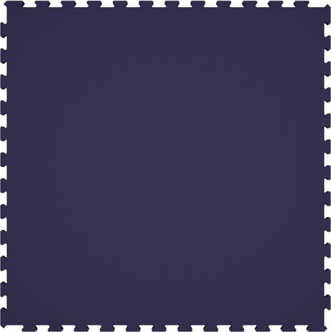 PaviFlex Violet