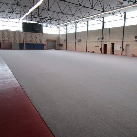 Protection de sol de salle HallProtect XXL
