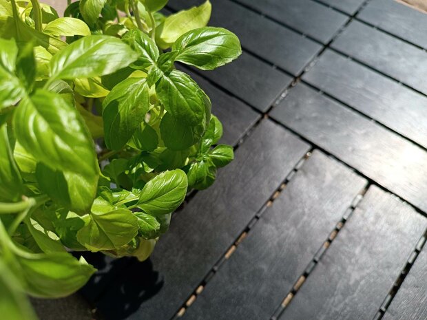 BoFudra balkonvloer 12 mm-houtlook- mahony