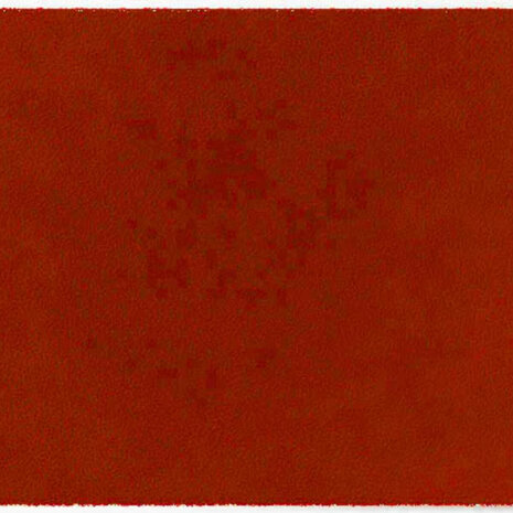 ColorStar Earth binnendeurmat-terracotta-60x85 cm