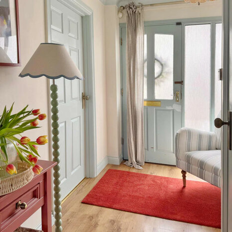 ColorStar Earth binnendeurmat-terracotta-60x85 cm