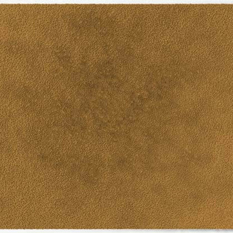 ColorStar Earth binnendeurmat-oker-85x115 cm