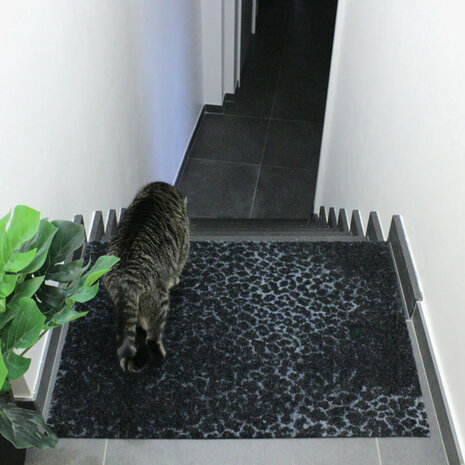 ColorStar- Leopard- binnendeurmat-marineblauw-85x115 cm