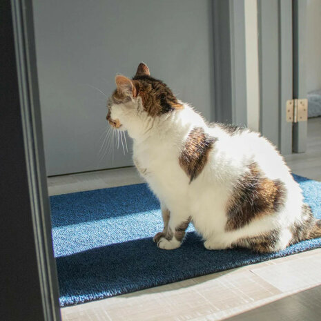 ColorStar- Sea- binnendeurmat-turkoois-60x85 cm