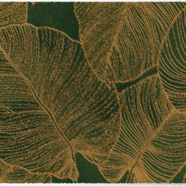 ColorStar Botanica binnendeurmat-dennengroen 85x115 cm