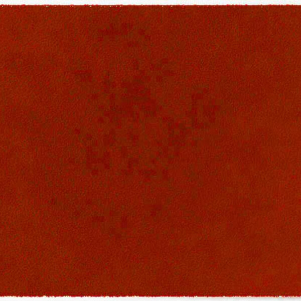 ColorStar Earth binnendeurmat-terracotta-85x115 cm