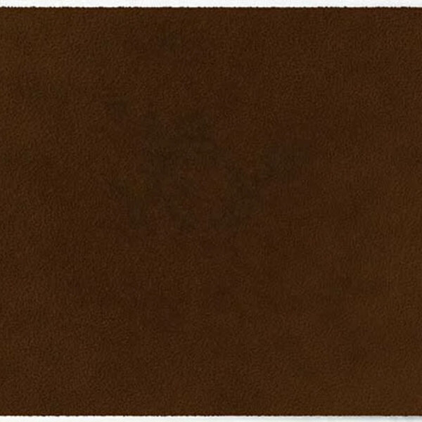 ColorStar Earth binnendeurmat-walnoot-85x115 cm