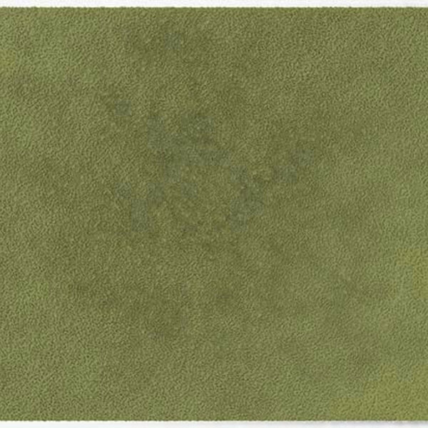ColorStar Forest binnendeurmat-light-sage-85x150 cm