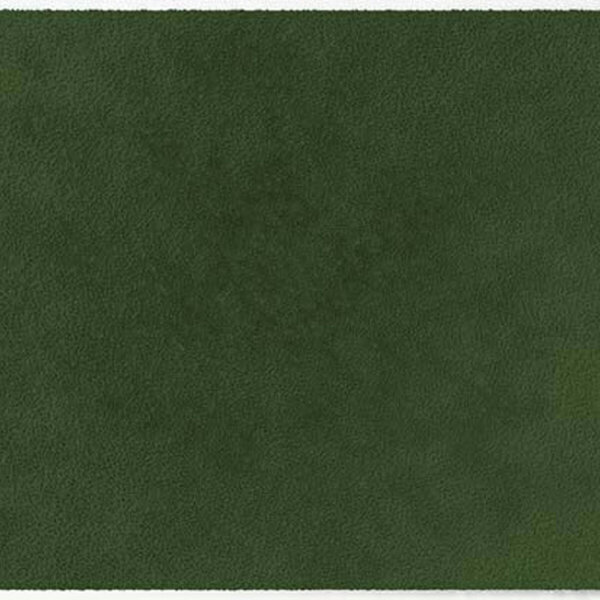 ColorStar Forest binnendeurmat-olive-85x150 cm