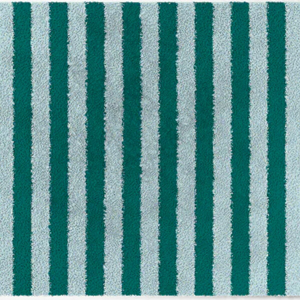 ColorStar- Stripes- binnendeurmat-lichtblauw-groen-85x115 cm