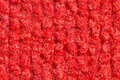 Afdektapijt Profelt rood 200 cmx50 meter