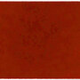 ColorStar Earth binnendeurmat-terracotta-85x115 cm