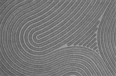 Paillasson WaterHog Fingerprint Grey 55x85 cm