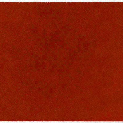 Tapis d’intérieur ColorStar Earth- terre-cuite – 85x150 cm