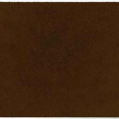 Tapis d’intérieur ColorStar Earth- noyer – 85x150 cm