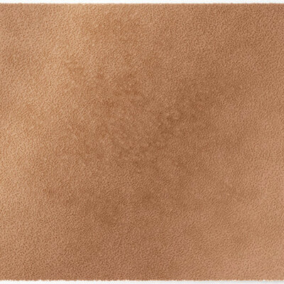 Tapis d’intérieur ColorStar Earth- brun-clair – 60 × 85 cm