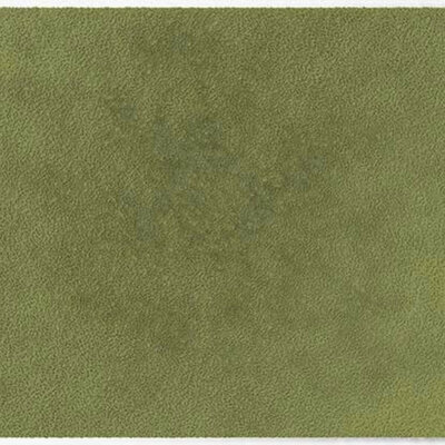 Tapis d’intérieur ColorStar Forest- sauge de lumière– 85x115 cm