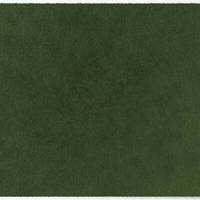 Tapis d’intérieur ColorStar Forest- olive– 60 × 85 cm