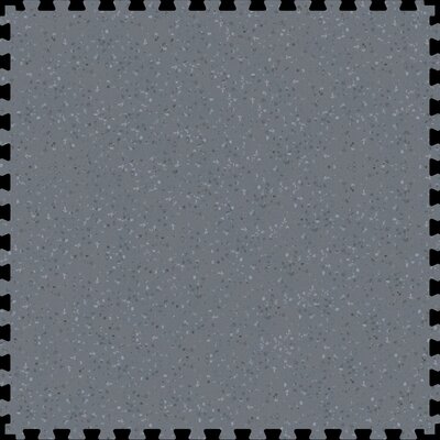 Dalle clipsable industrielle BoTitan sky